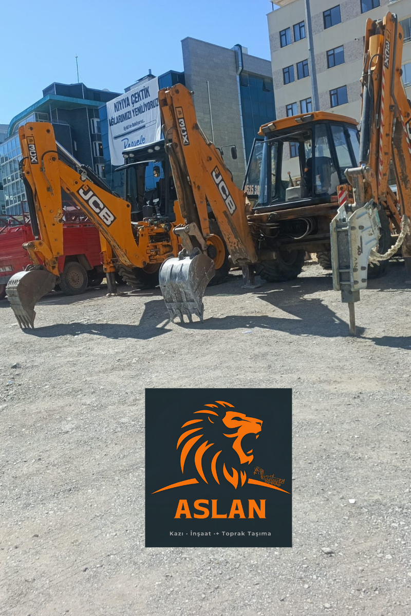 Neden Aslan Hafriyat